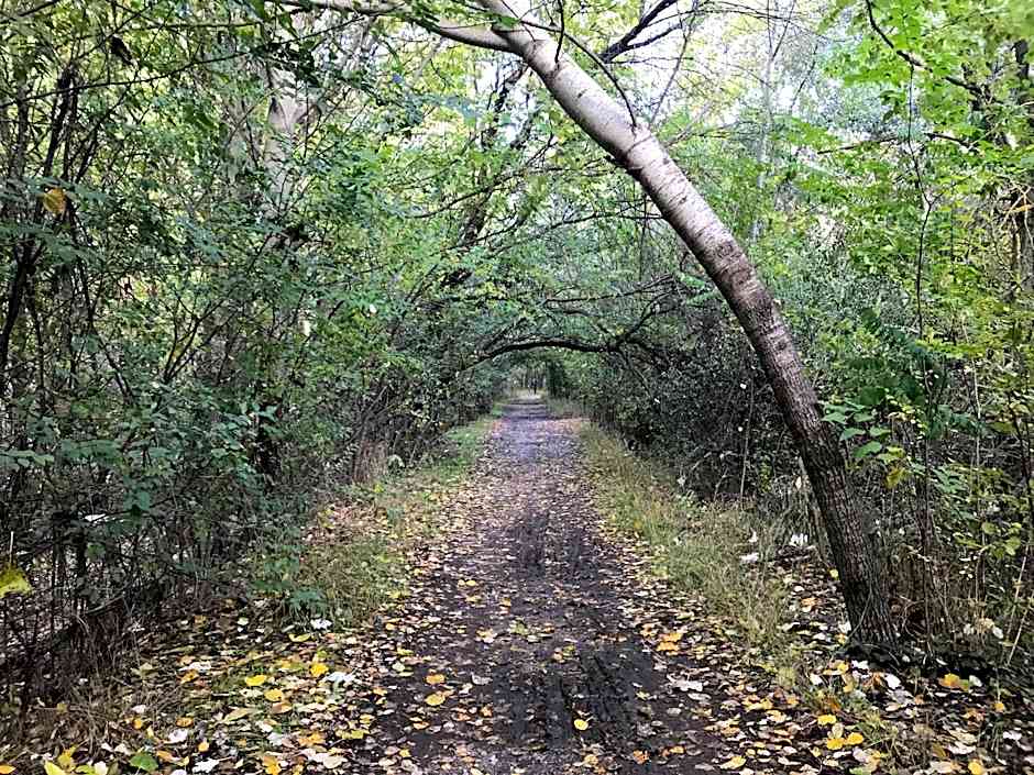 Apartamentos Duquesa Sierra Nevada