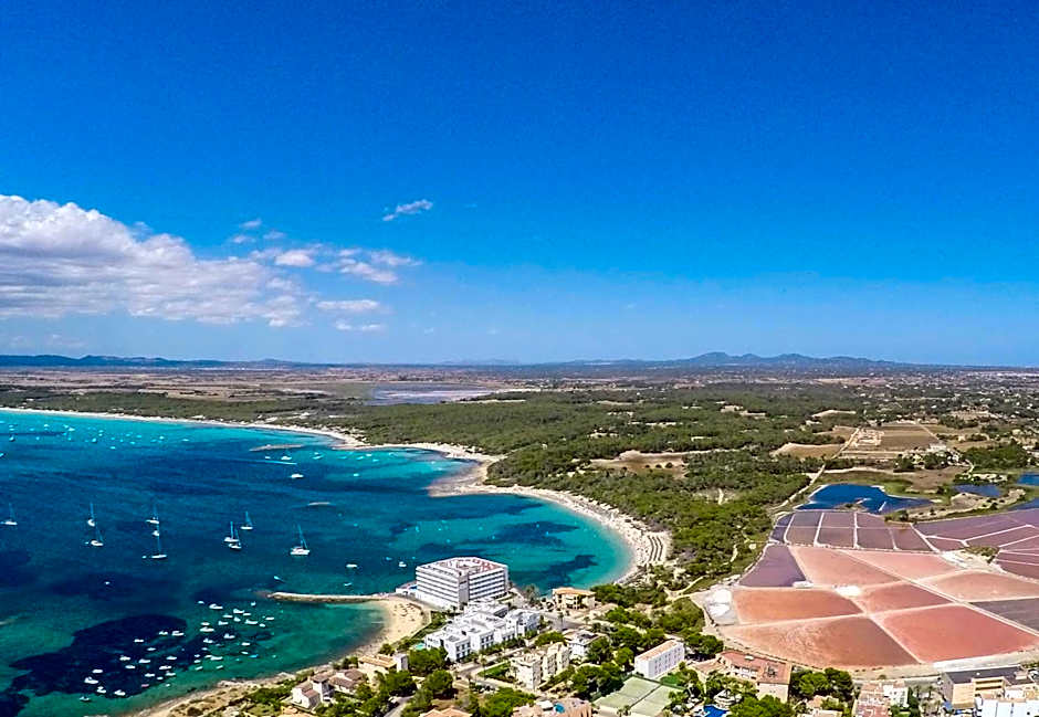 Universal Hotel Marqu