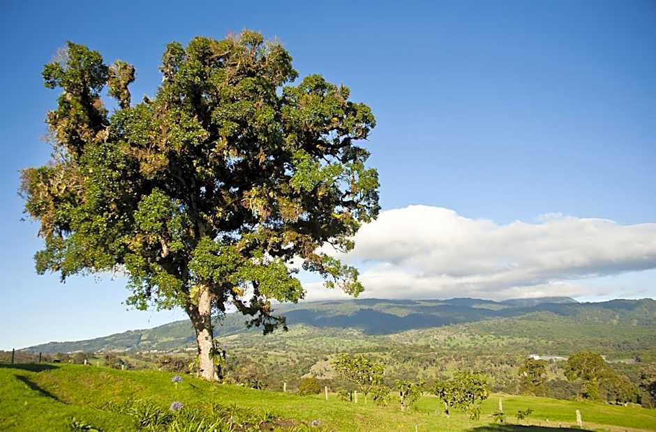Poas Volcano Lodge