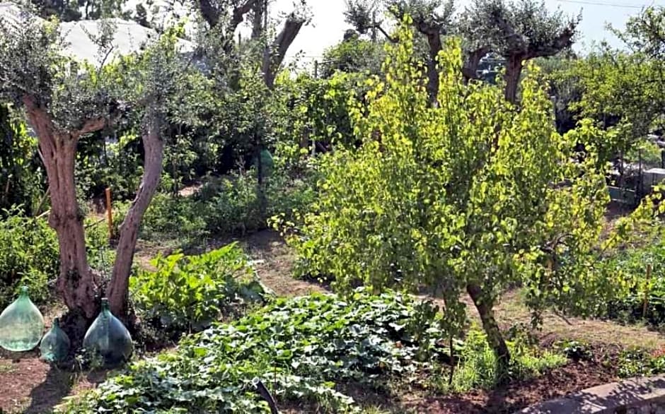 Villa Romano, Anacapri