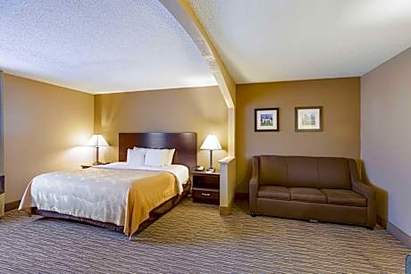 1 King Bed, 1 Bedroom Suite, Non Smoking