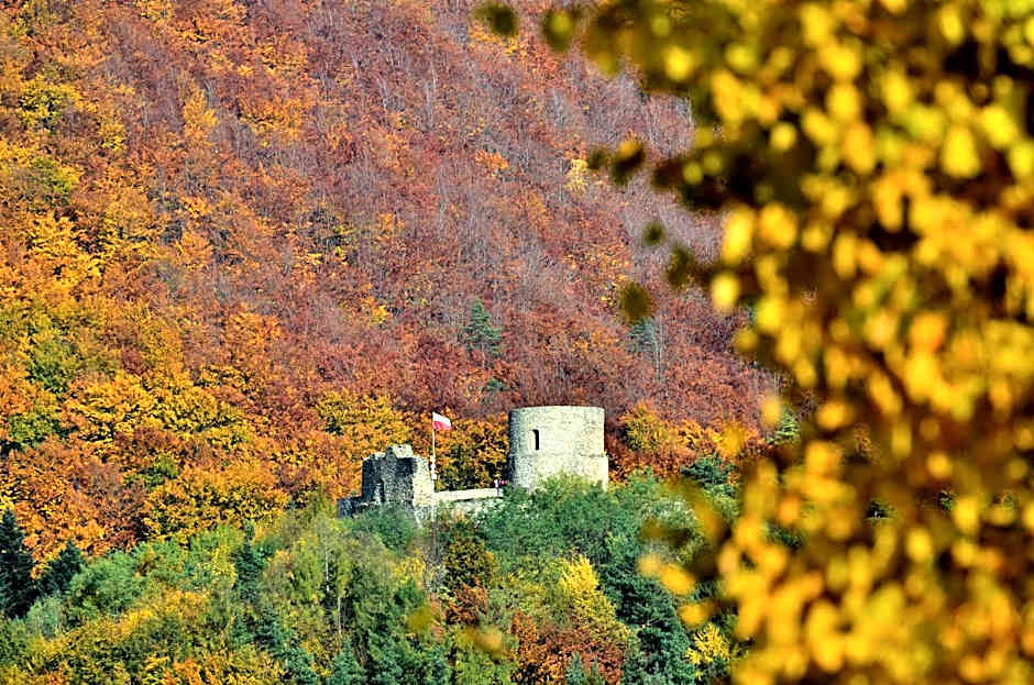 Hotel Perła Południa