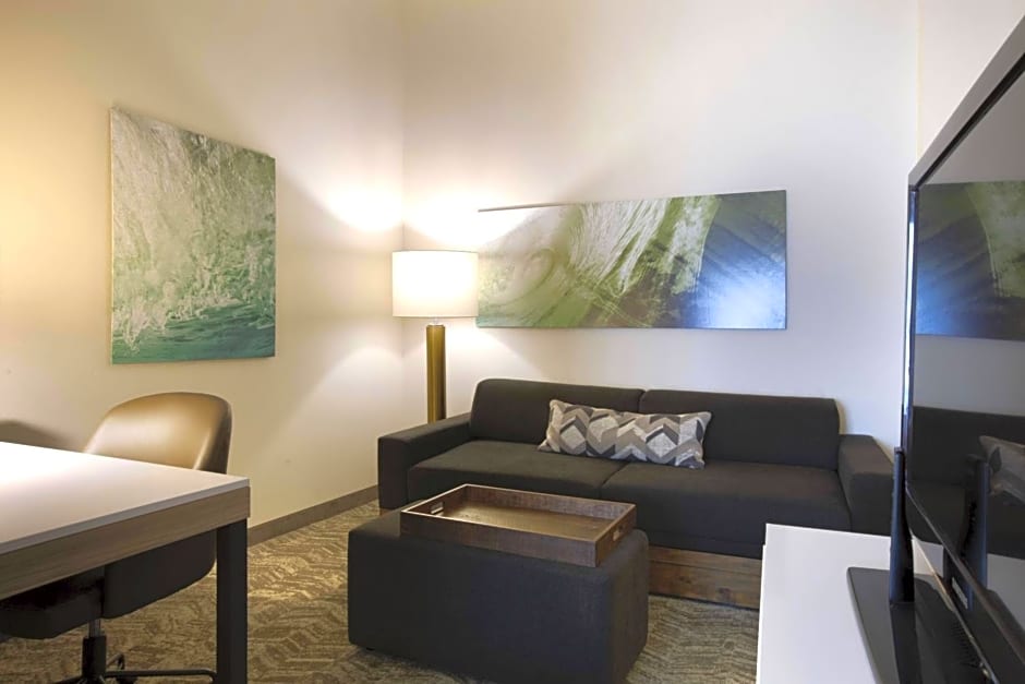 SpringHill Suites by Marriott Savannah I-95 South