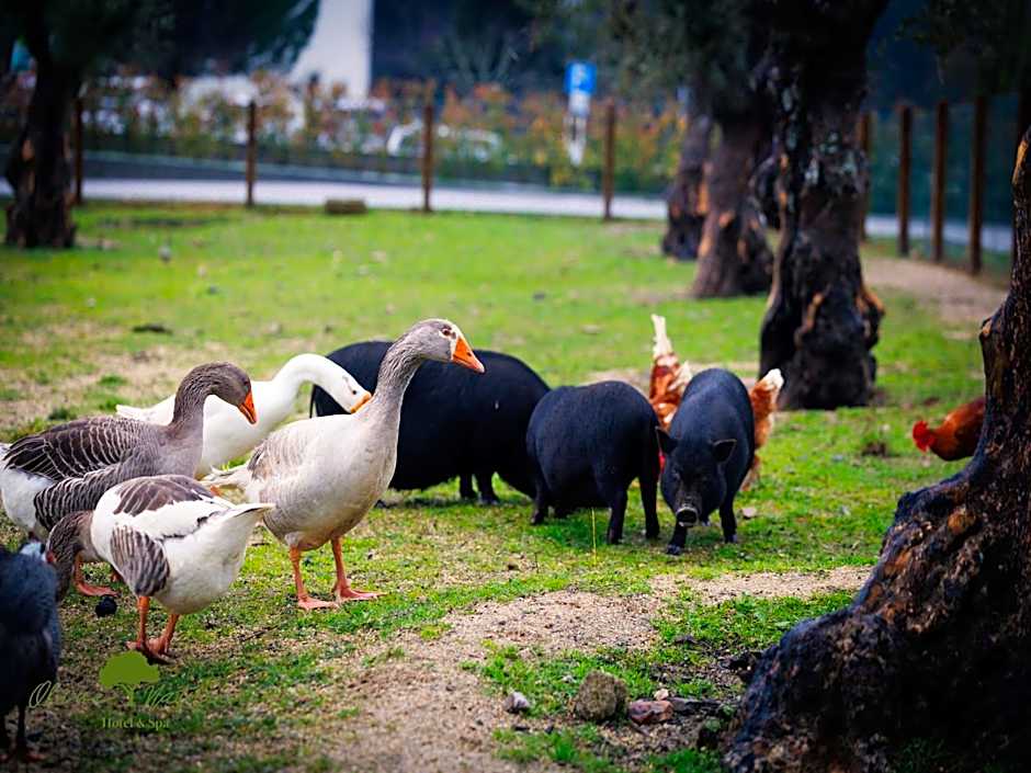 Olive Nature Hotel & SPA - Quinta Valle de Passos