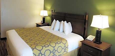 Single Room - Disability Access