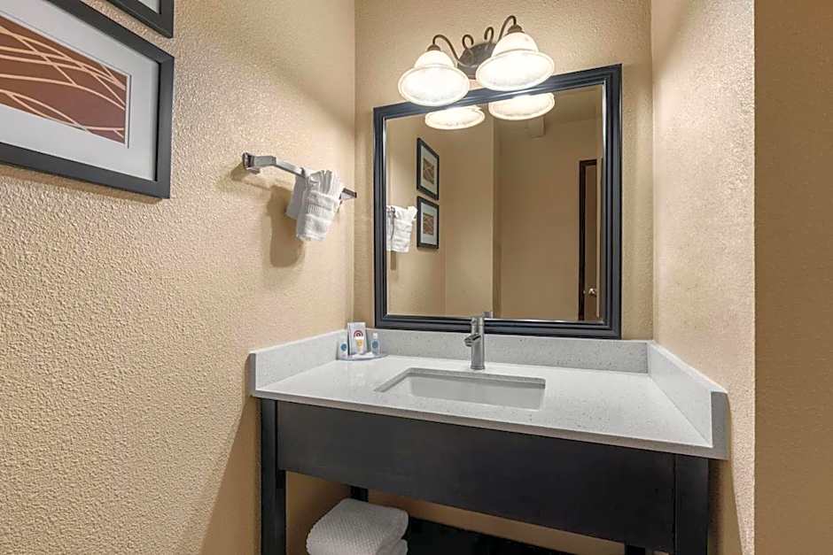 Comfort Inn & Suites Vancouver Downtown City Center