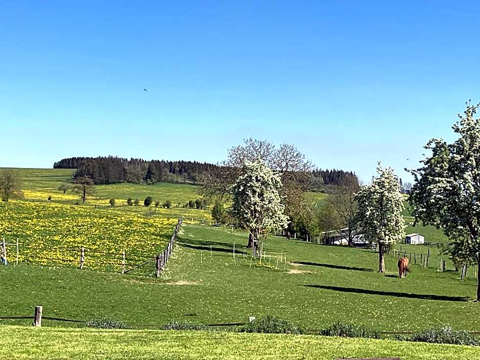 B&B Pegasus II - Chambre familiale de luxe avec sauna privatif et coin repas