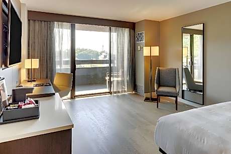 King Guest Room
