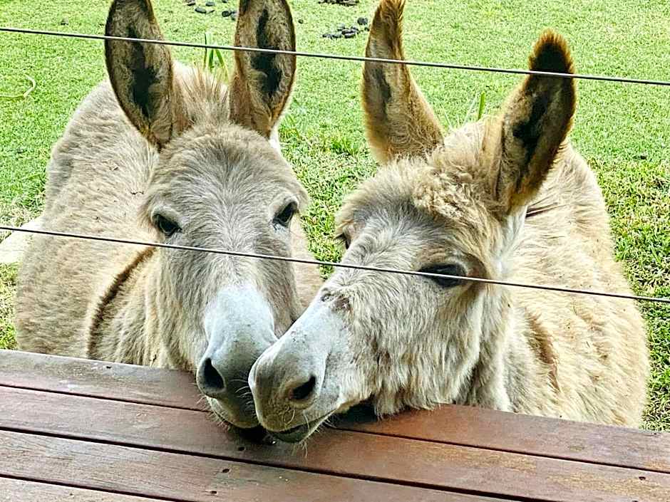 Sandalwood Downs Fabulous Farm Stay TOODYAY