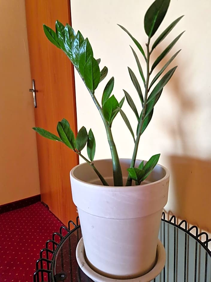 Willa Pod Piórem
