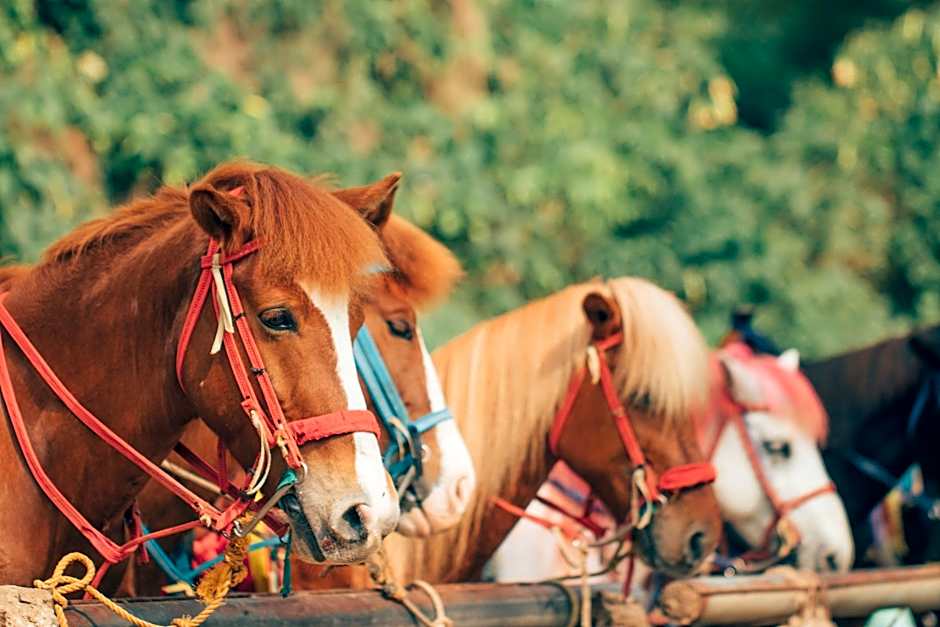 Azalea Hotels & Residences Baguio