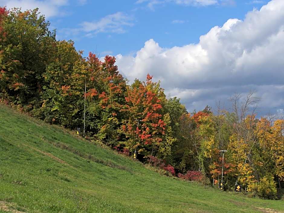 Gateside Chalets Expansive 6 Bedroom Hot Tub Near Village Blue Mountain