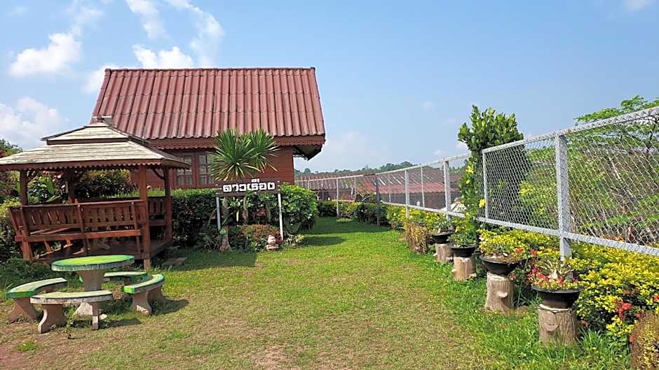 Khao Kho Flora