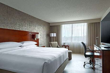 Room, 1 King Bed