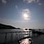 AVA Boutique Guesthouse