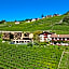 Hotel Pacherhof