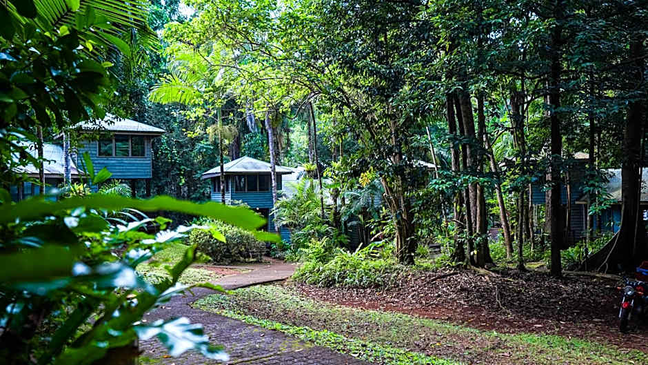 Ferntree Rainforest Lodge