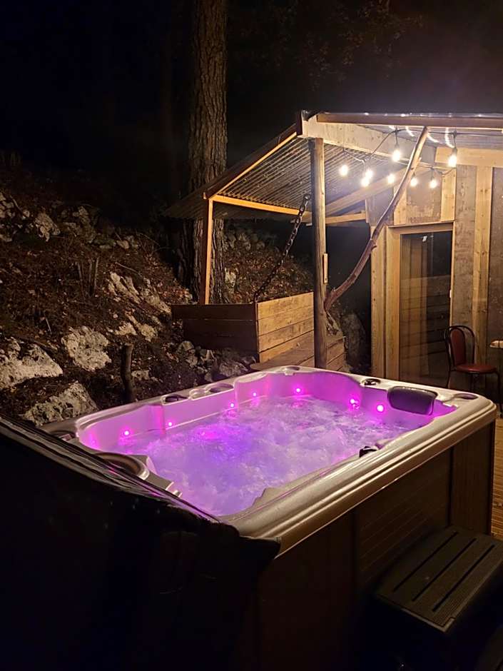 LOVE Room Danslesbois avec spa