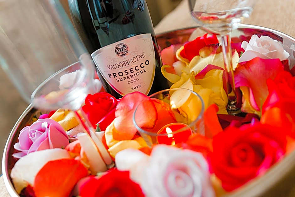 Hotel Carol - Vatra Dornei