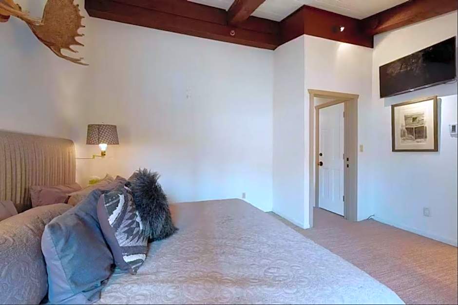 Enclave 309, Snowmass Ski-In/Ski-Out Condo w/Shared Pool/Hot Tub/Private Washer/Dryer/Gym/WiFi