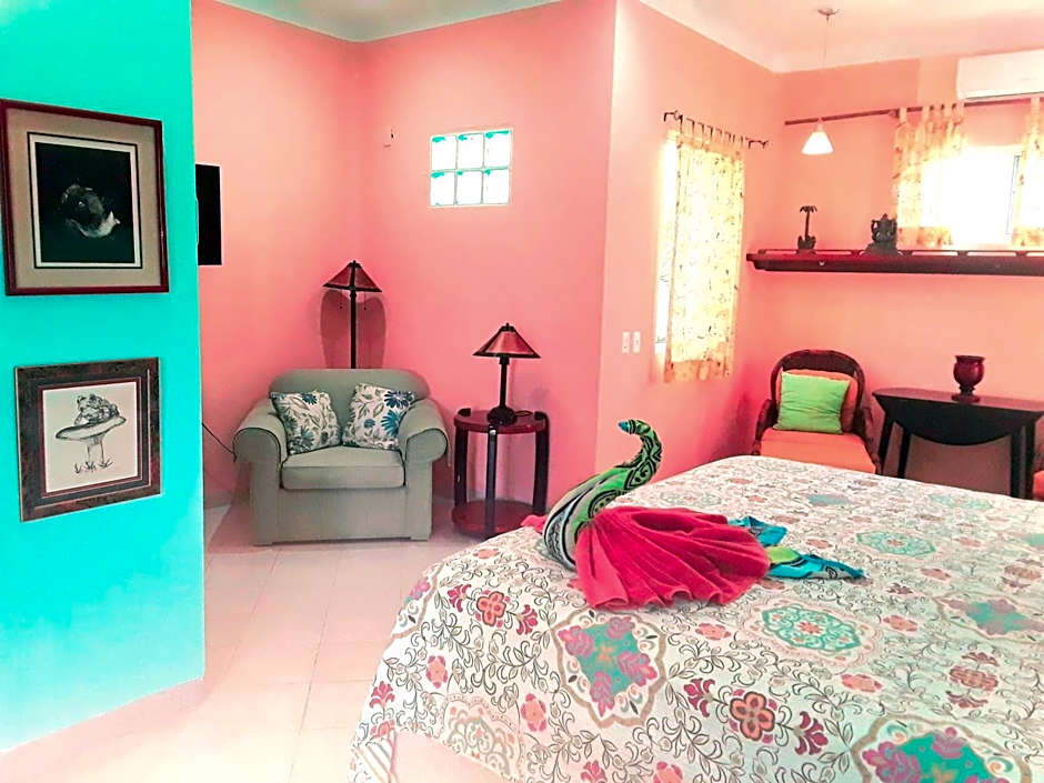 Casa Gatos