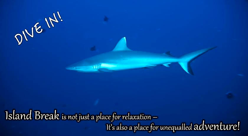 Island Break