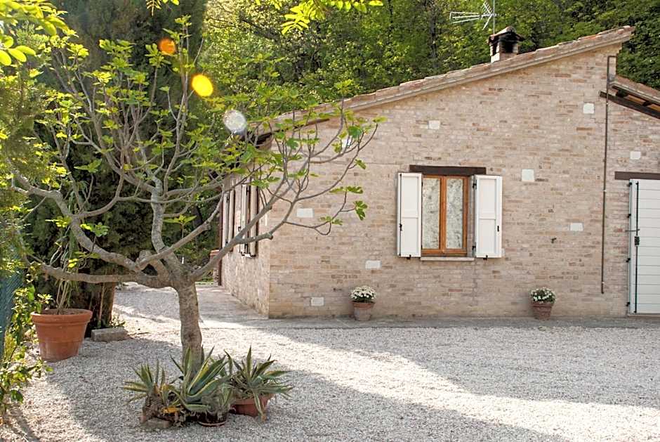 Calmancino delle Selve