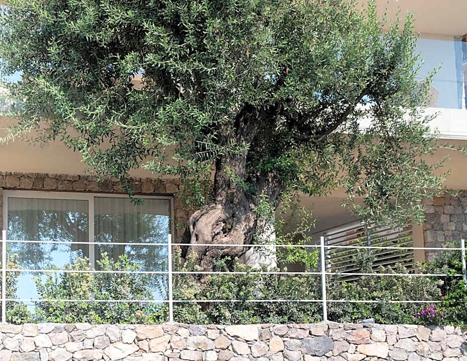 Iancu Charme Apartments