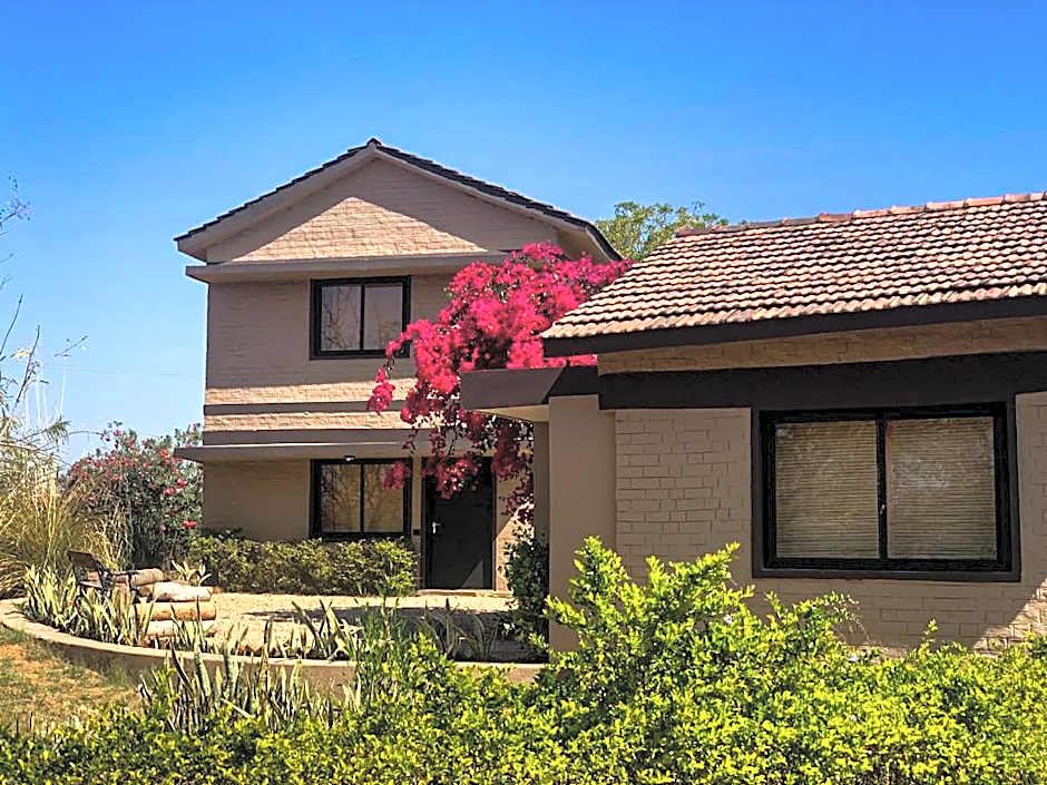 Clarks Safari Pushkar