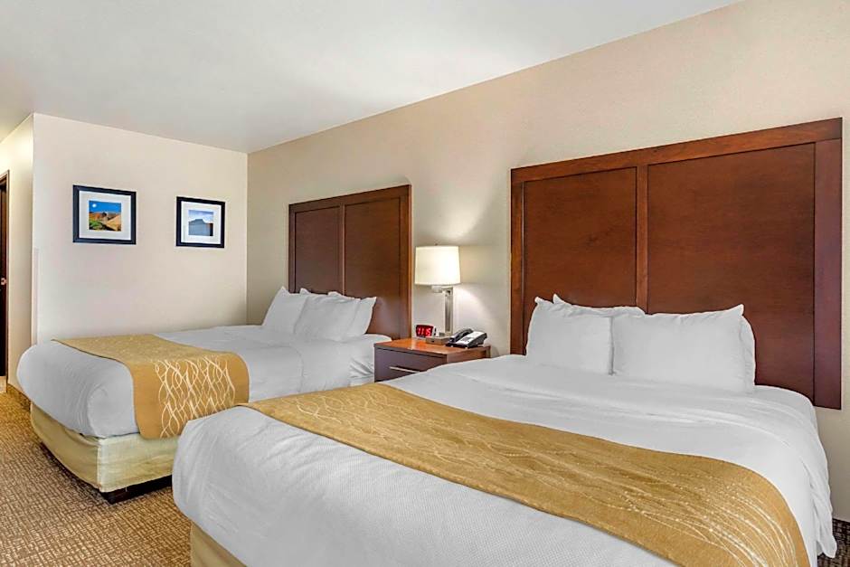 Comfort Inn & Suites Mitchell I-90