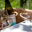 Tenuta di Castellaro Winery & Resort