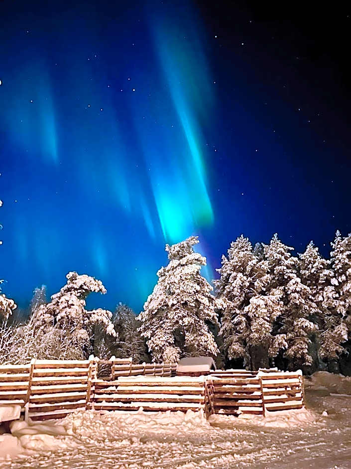 Arctic Shaman Adventures -Jurtta