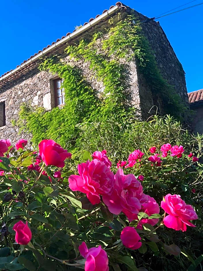 La magnanerie de camias