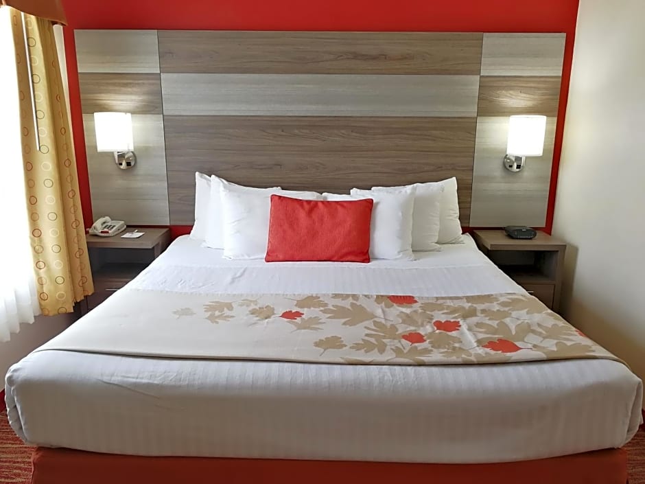 Hawthorn Suites By Wyndham Irving Dfw South