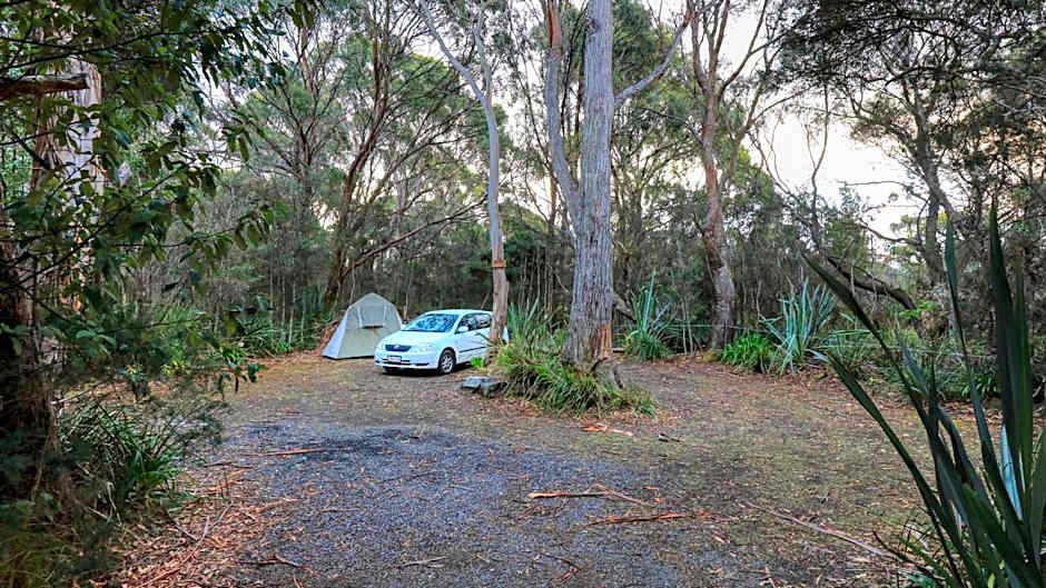 Crayfish Creek Van & Cabin Park