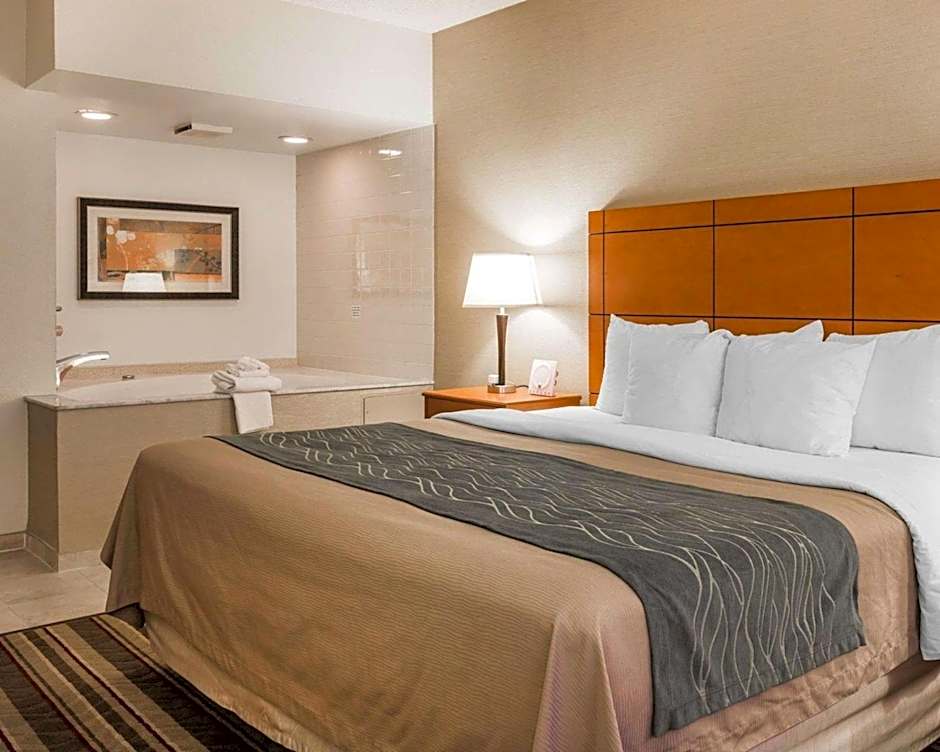 Comfort Inn Metro Airport Romulus