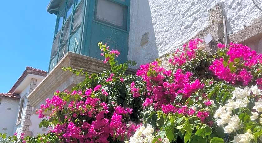 Windmill Alaçatı