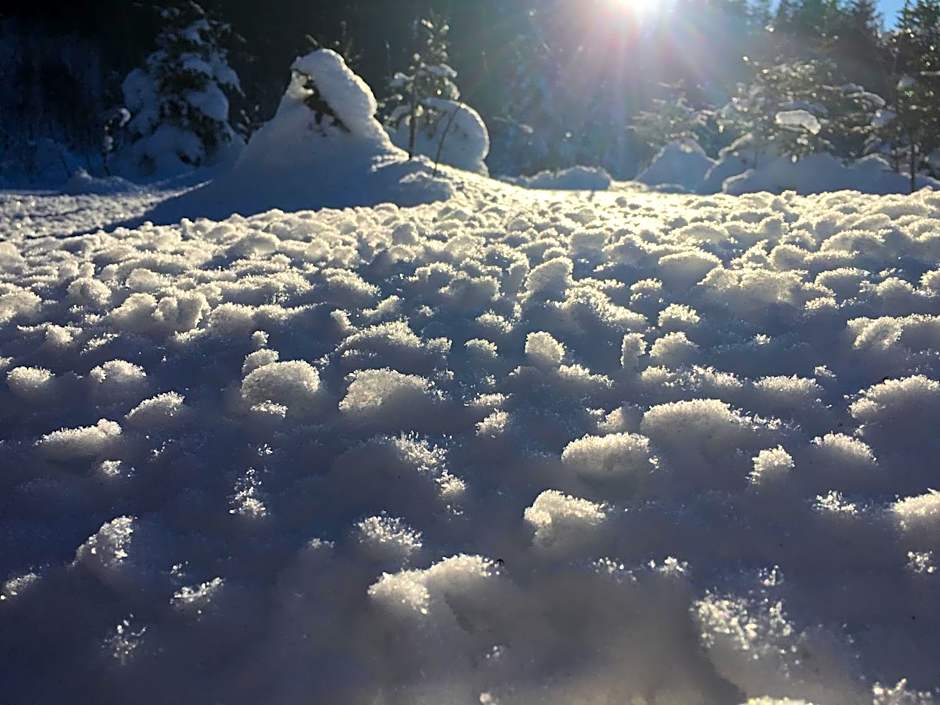 Schwarzwald-Hotel Kraeutle