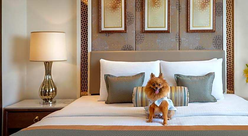 Tajview  IHCL SeleQtions