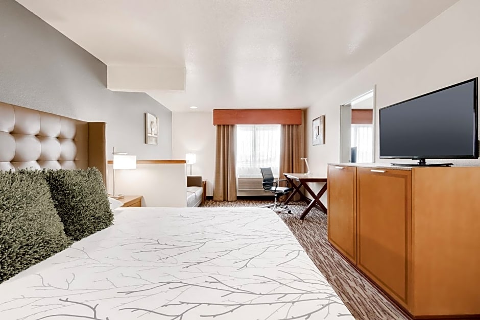 Best Western PLUS Peppertree Airport Inn