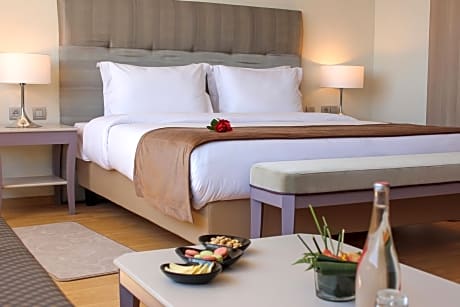 Executive Queen Room