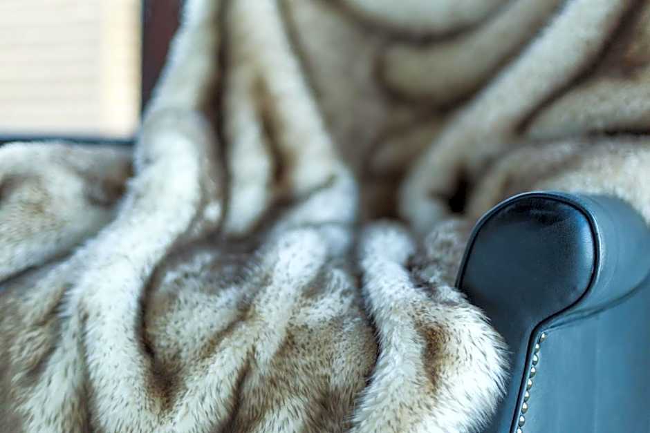 Mt Cook Lakeside Retreat