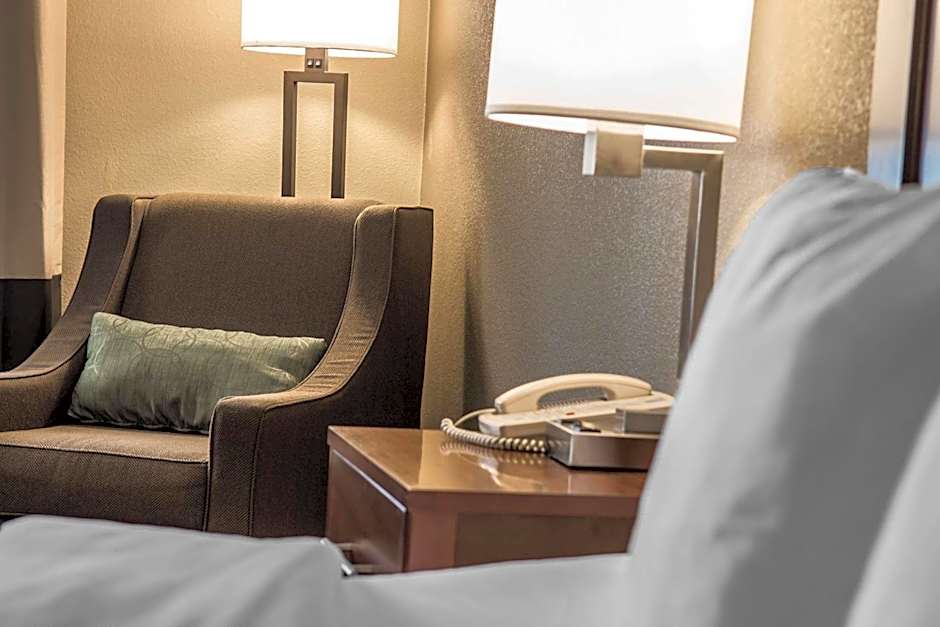 Comfort Inn Edinburg South