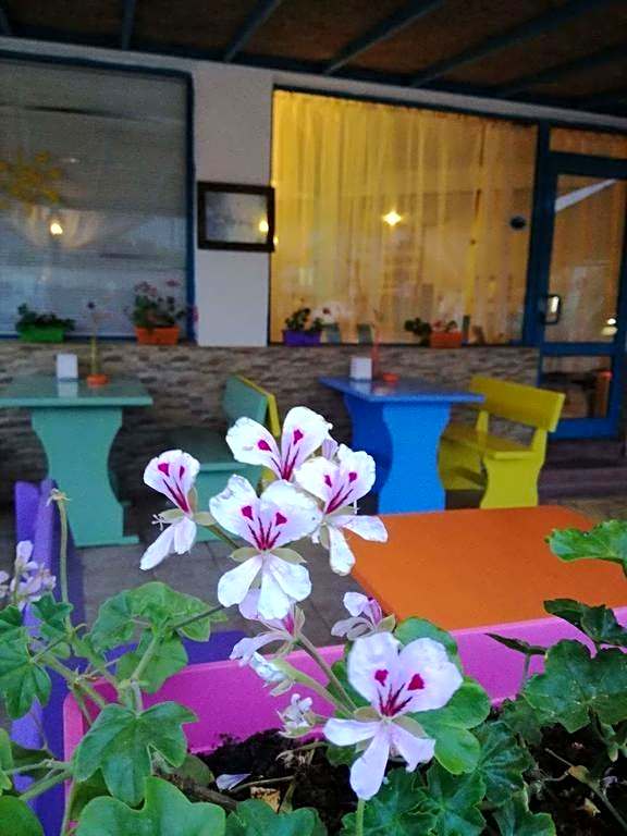 Alba Family Club Hotel