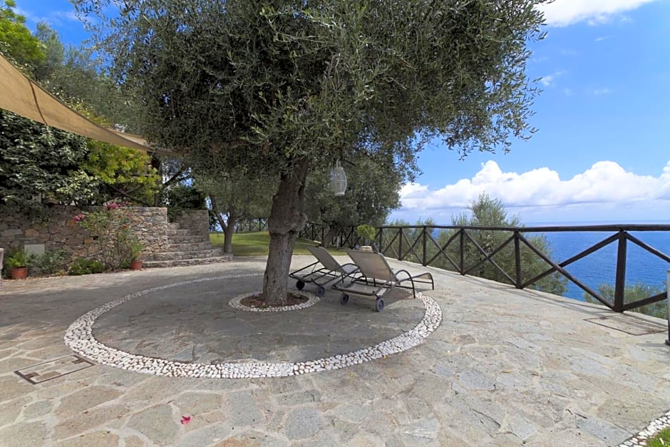 Villa Degli Ulivi B&B