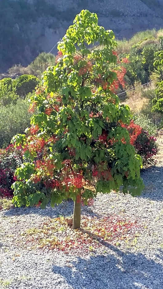 B&B Villa Maristella