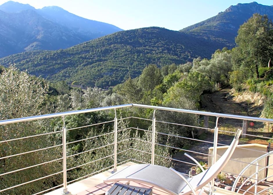 L'oliveraie du Fango