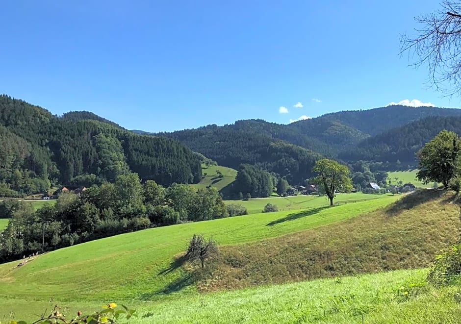 Wyndham Garden Donaueschingen