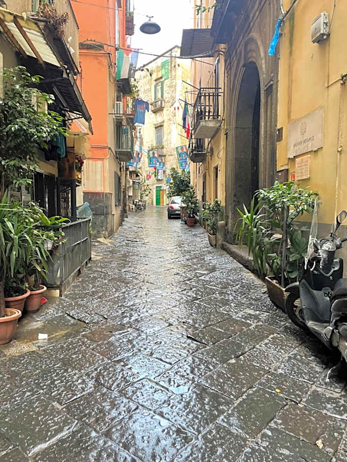 Sophia Boutique Home