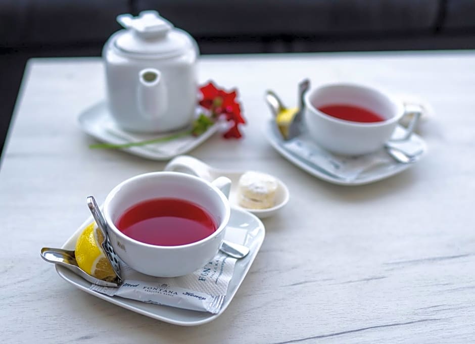 Hotel Fontana Vrnjačka Banja